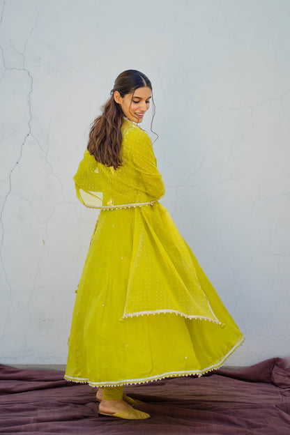 Lime Green Tissue Embroidered Anarkali Set