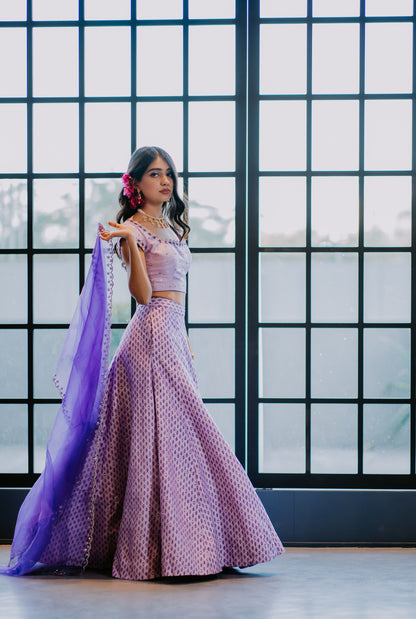 Lilac Silk Printed & Embroidered Lehenga Set