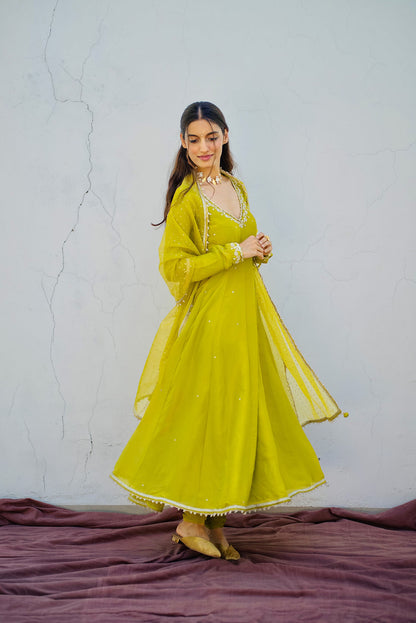 Lime Green Tissue Embroidered Anarkali Set