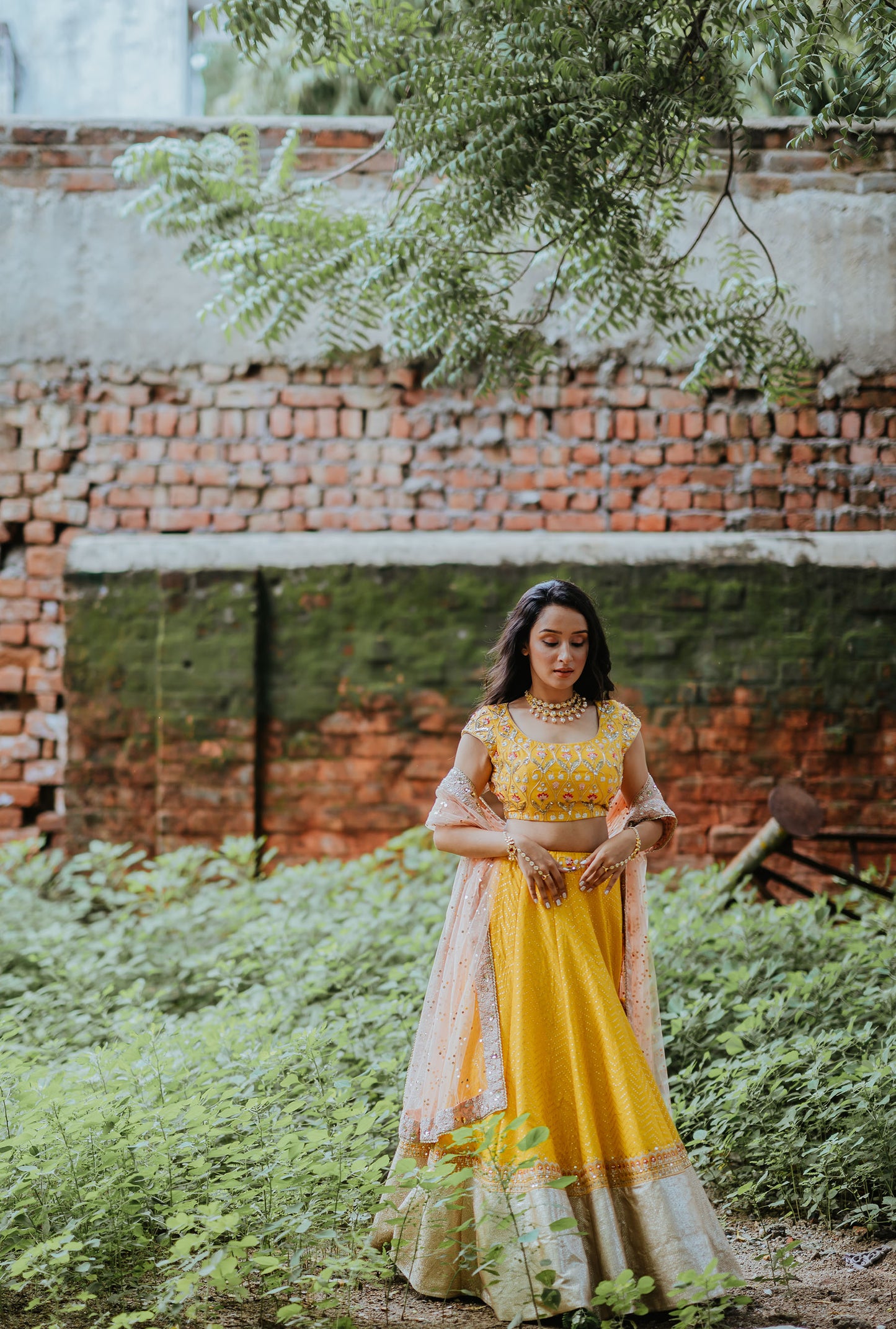 Mustard Banarasi Embroidered Lehenga Set