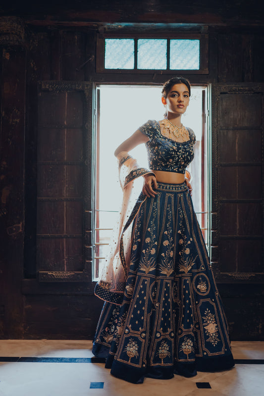 Indigo Silk Embroidered Lehenga Set