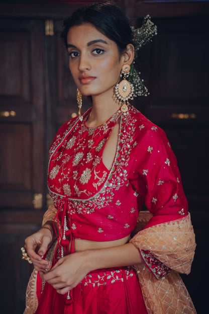 Hot Pink Roses Embroidered Lehenga Set