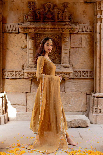 Mocha Tissue Embroidered Anarkali Set