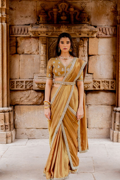 Mocha Embroidered Tissue Draped Saree Set