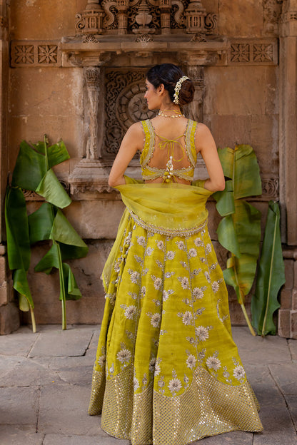 Lime Green Silk Embroidered Lehenga Set