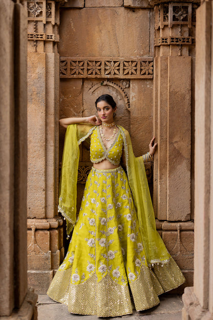 Lime Green Silk Embroidered Lehenga Set