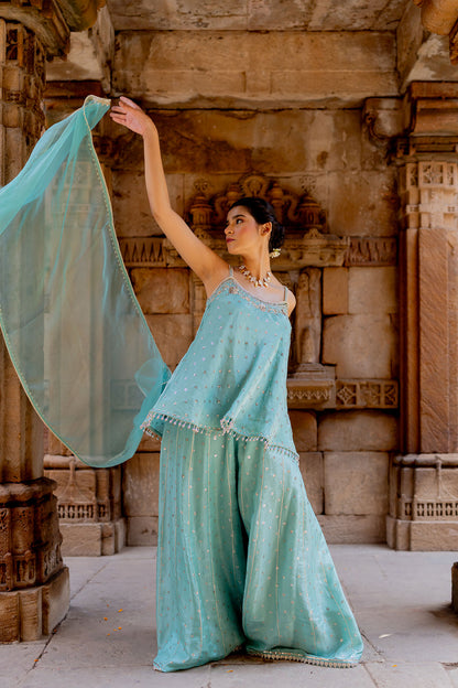 Sky Blue Embroidered Tissue Sharara Set