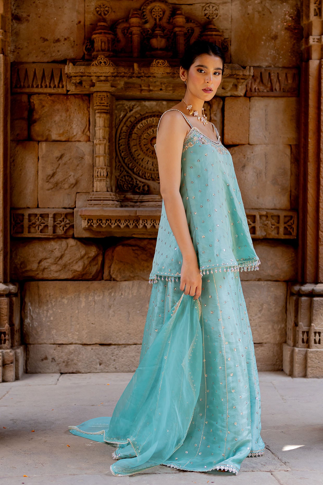 Sky Blue Embroidered Tissue Sharara Set