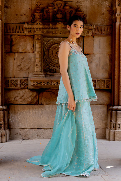 Sky Blue Embroidered Tissue Sharara Set