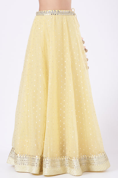 Lemon Embroidered Organza Lehenga Set