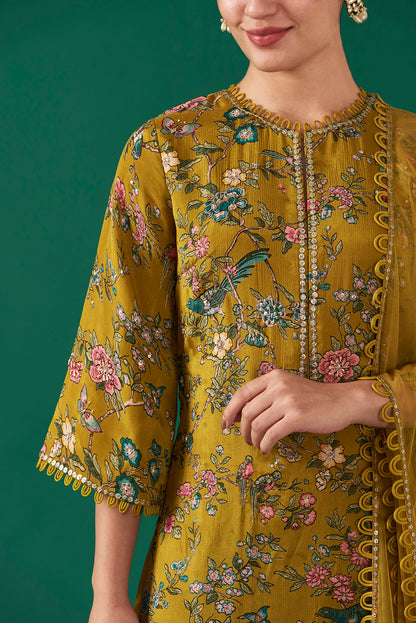 Olive Chiffon Printed & Embroidered Straight Kurta Set