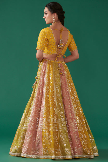 Mustard Multicolor Embroidered Flared Lehenga Set