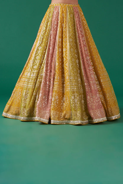 Mustard Multicolor Embroidered Flared Lehenga Set