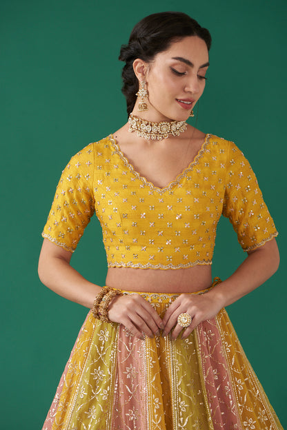 Mustard Multicolor Embroidered Flared Lehenga Set