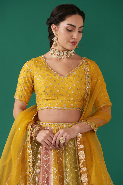 Mustard Multicolor Embroidered Flared Lehenga Set