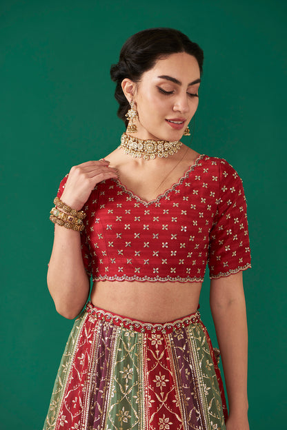 Cherry Multicolor Embroidered Flared Lehenga Set