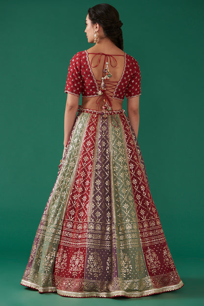 Cherry Multicolor Embroidered Flared Lehenga Set