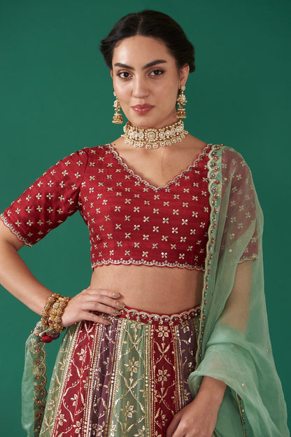 Cherry Multicolor Embroidered Flared Lehenga Set