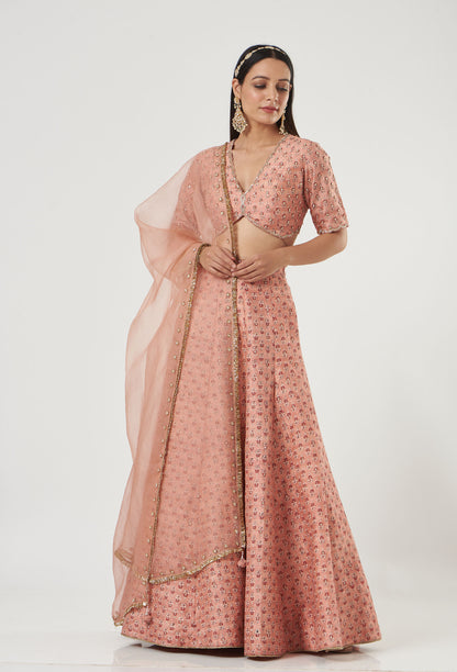 Blush Printed And Embroidered Silk Lehenga Set