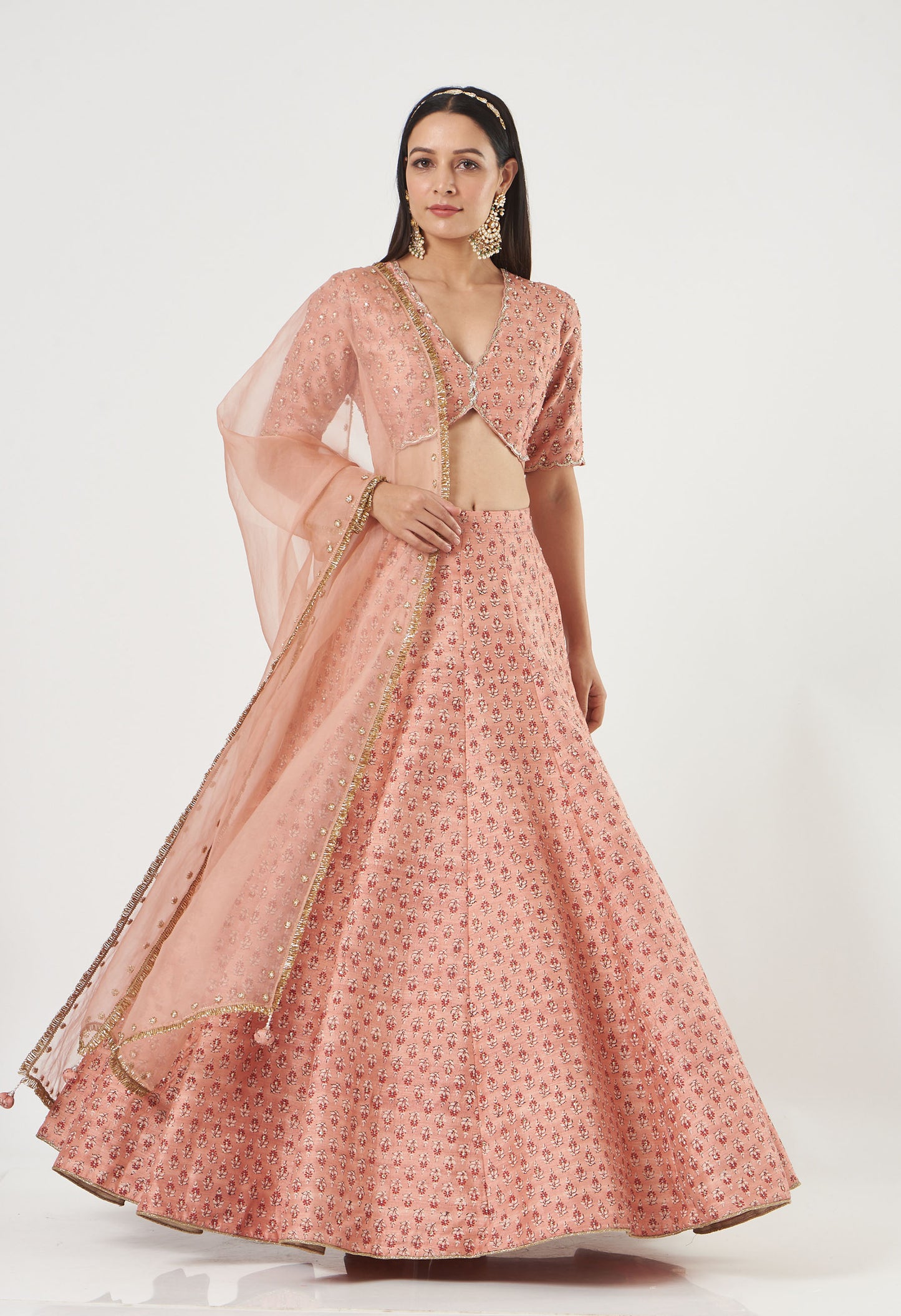 Blush Printed And Embroidered Silk Lehenga Set