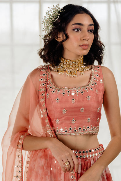 Rose Pink Tie-Dye Mirror-Work Lehenga Set