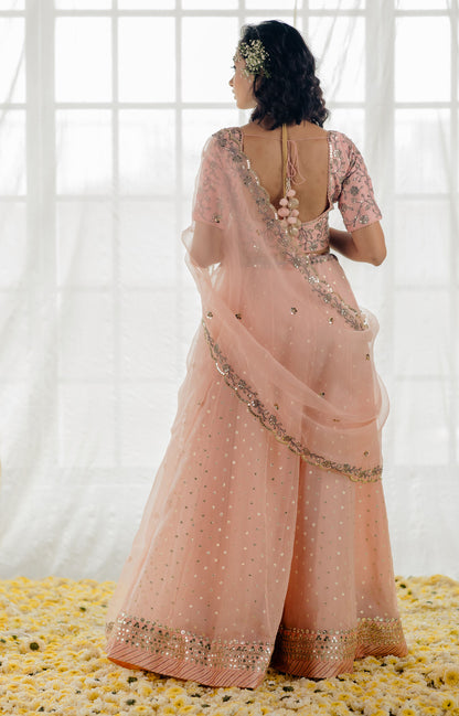 Powder Pink Embroidered Organza Lehenga Set