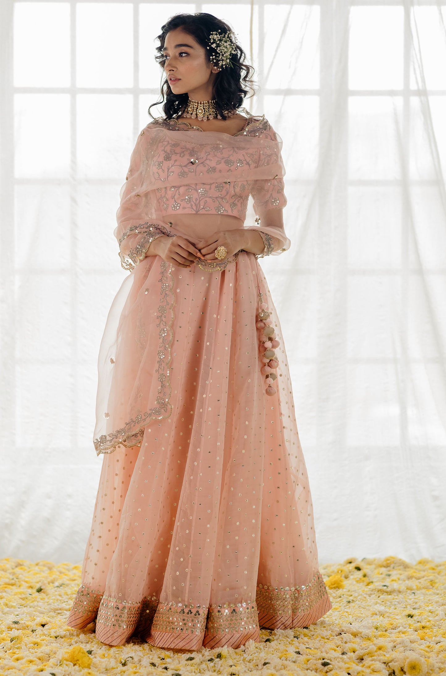 Powder Pink Embroidered Organza Lehenga Set