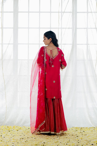 Hot Pink Georgette Embroidered Sharara Set