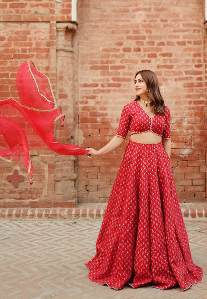 Kashish Dadhwal In Cherry Red Silk Lehenga Set