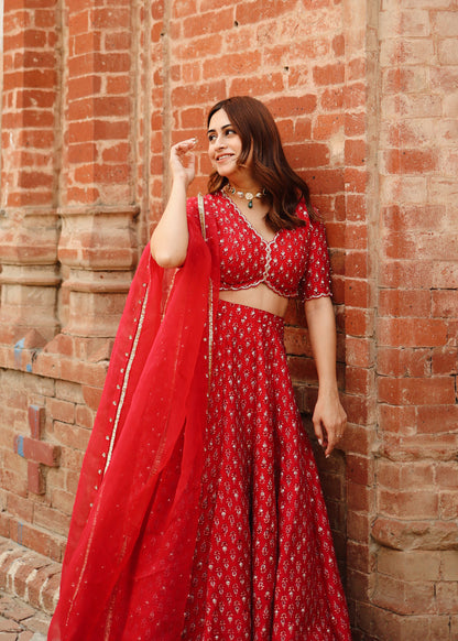 Kashish Dadhwal In Cherry Red Silk Lehenga Set