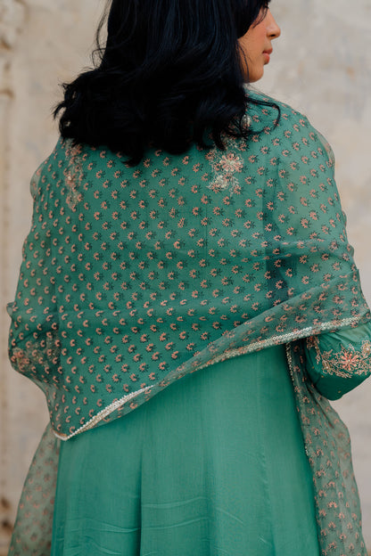 Green Chiffon Embroidered Flared Anarkali Set