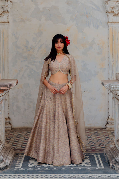 Warm Grey Printed And Embroidered Silk Lehenga Set