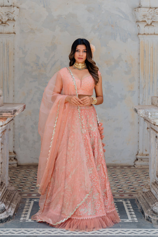 Blush Embroidered Satin Organza Lehenga Set