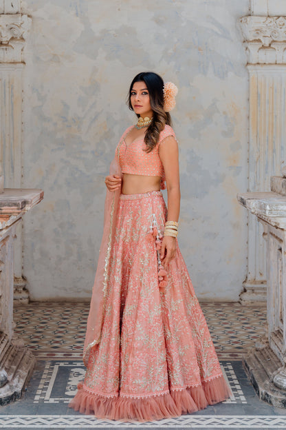 Blush Embroidered Satin Organza Lehenga Set