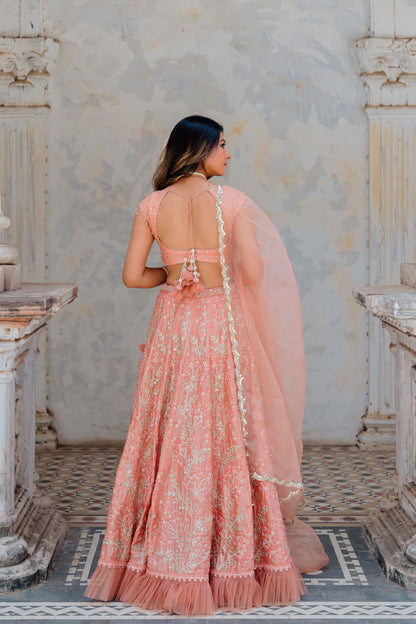 Blush Embroidered Satin Organza Lehenga Set