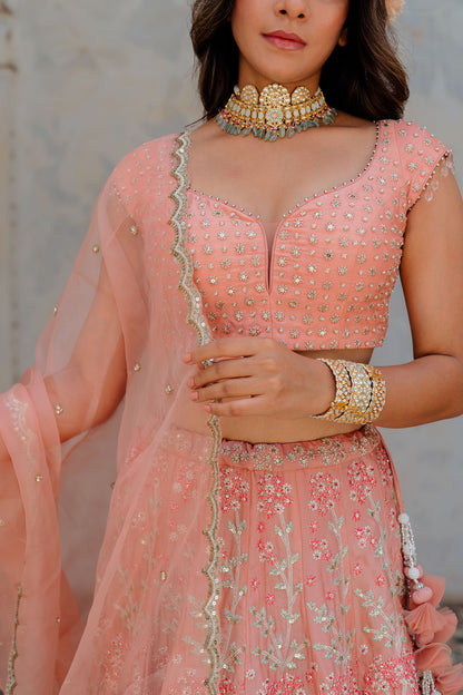 Blush Embroidered Satin Organza Lehenga Set