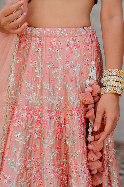 Blush Embroidered Satin Organza Lehenga Set