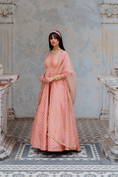 Blush Silk Printed And Embroidered Anarkali Set