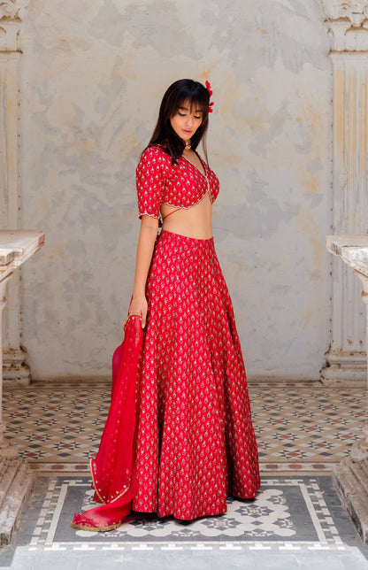 Cherry Red Printed And Embroidered Silk Lehenga Set