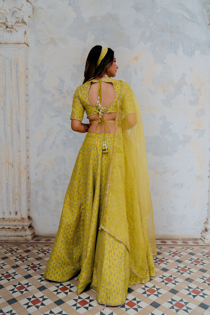 Moss Green Printed And Embroidered Silk Lehenga Set