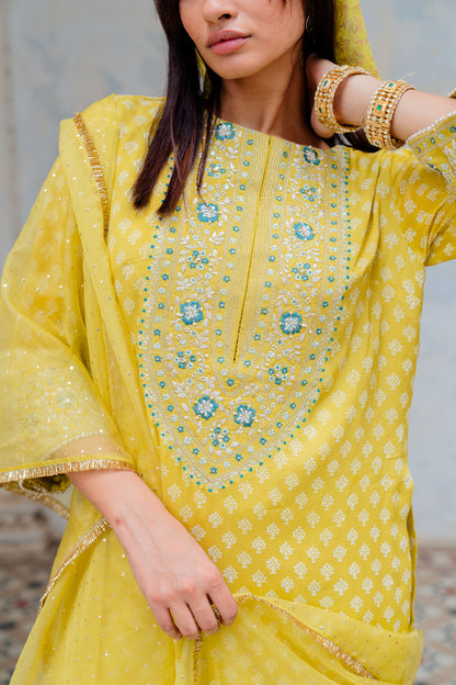 Moss Green Chiffon Embroidered Straight Kurta Set