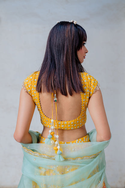 Mustard Embroidered Satin Organza Lehenga Set